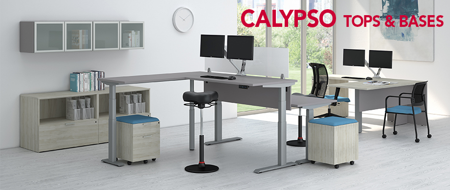 Calypso-Enviro_920x3891 Calypso-Enviro_920x3891